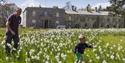 Child running through the spring flowers in front of the Arlington Court and the National Trust Carriage Musuem building