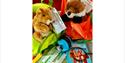 a sensory backpack including a book and toy squirrels.