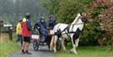 Guests riding an adapted horse and carriage at Calvert Exmoor