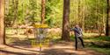 Wendover Woods