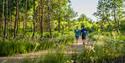 A couple walks hand in hand on a sunny dirt path through a lush, green forest. The tall trees and wildflowers create a serene, joyful atmosphere.