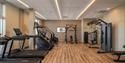 Modern gym with wooden floors, treadmills on the left, and weight machines on the right. Bright lighting and neutral tones create an inviting atmosphe