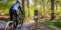 A cyclist in a blue outfit rides on a forest trail, surrounded by tall trees and lush greenery. A trail signpost stands to the right, under the sunlig