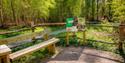 A peaceful forest clearing with a wooden bench and a sign. Sunlight filters through lush green trees, creating a serene atmosphere.
