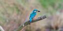 WWT Arundel Wetland Centre