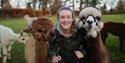 A girl walking two alpacas at Alpacaly Ever After