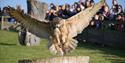 Leeds Castle