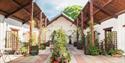Hall Farm Cottage Courtyard with lots of plants and the sun is shinning