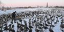 A person feeding the birds in the snow at WWT Slimbridge Wetland Centre