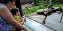 A mother and child looking at the otters at WWT Martin Mere Wetland Centre