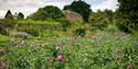 The Physic Garden at Calke Abbey