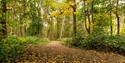 The Tramway Trail at Calke Abbey
