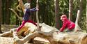 The natural play area at Calke Abbey