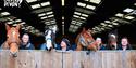 A cheerful group of people and horses peeks over a stable gate. The setting is a well-lit barn with a wooden gate, conveying a warm, welcoming atmosph