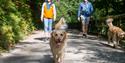 A couple with two golden retrievers at Cardinham Woods