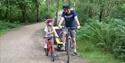Visitors cycling at Calke Abbey