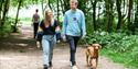 Visitors on a dog walk at Staunton Harold