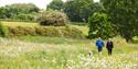 Visitors walking throguh the wildflower meadows at Staunton Harold