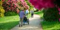 Walks around Stourhead, with one person in the foreground pushing a wheelchair. Credit Nationsl Trust Images Trevor Ray Hart