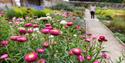 Walled Garden at Stourhead. Credit National Trust Images Paul Harris