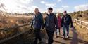 Two couples walking around the paths at WWT Arundel Wetland Centre