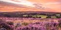 Pink skies over the countryside surrounding Cayton Village