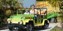 A family in a car riding around Crealy Theme Park & Resort