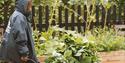 Mind Gardening Group Participant pushing a wheelbarrow of vegetables in London Zoo’s Community Garden