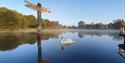 A swan swimming past a statue of a dragonfly on a lake at Moors Valley Country Park and Forest