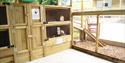 hutches and small animal area at North Hayne Farm Cottages