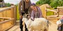 Brother and sister petting goats at Hertfordshire Zoo
