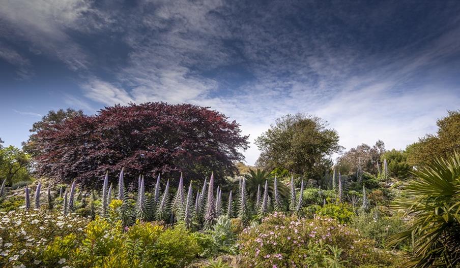 Ventnor Botanic Garden, Ventnor, Things to Do, Outdoor space