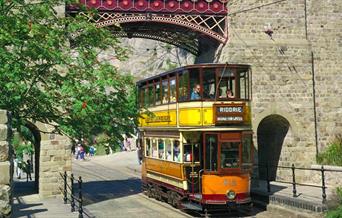 Ride our world renowned vintage trams