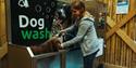 Dog wash (credit, Forestry England)