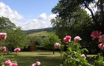 woodcombe cottages garden