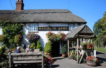 Outside The Waterloo Arms in the New Forest