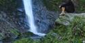 Lydford Gorge falls
