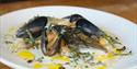 Isle of Wight, Public House, Eating Out, Accommodation, The Fishbourne, Shell Fish Dish