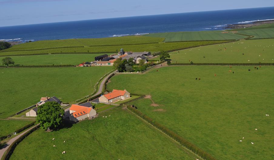 Low Steads Holiday Cottages