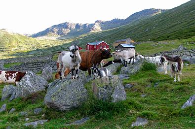 Sparstadstølen in Sanddalen.