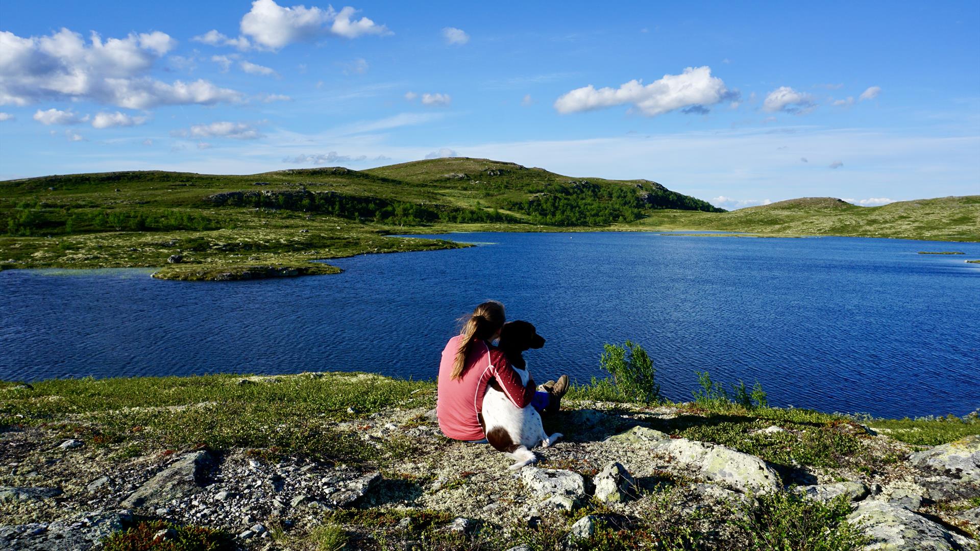 Steintjern i Langsua nasjonalpark, Skrautvål Sameie