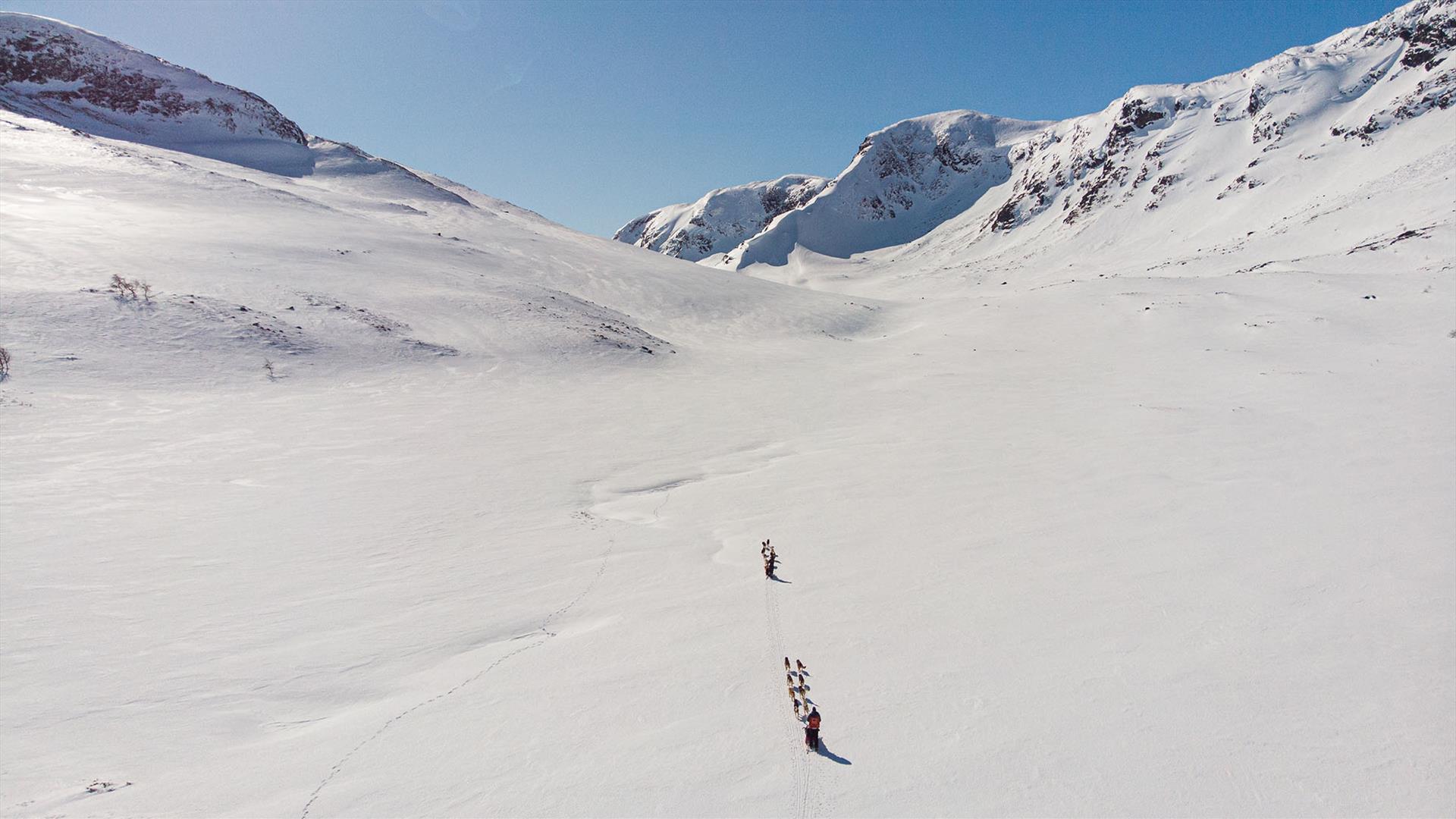 Drone image of two dog sledding teams that are dwarfed by the surrounding mountain landscape. They are heading up a mountain valley.