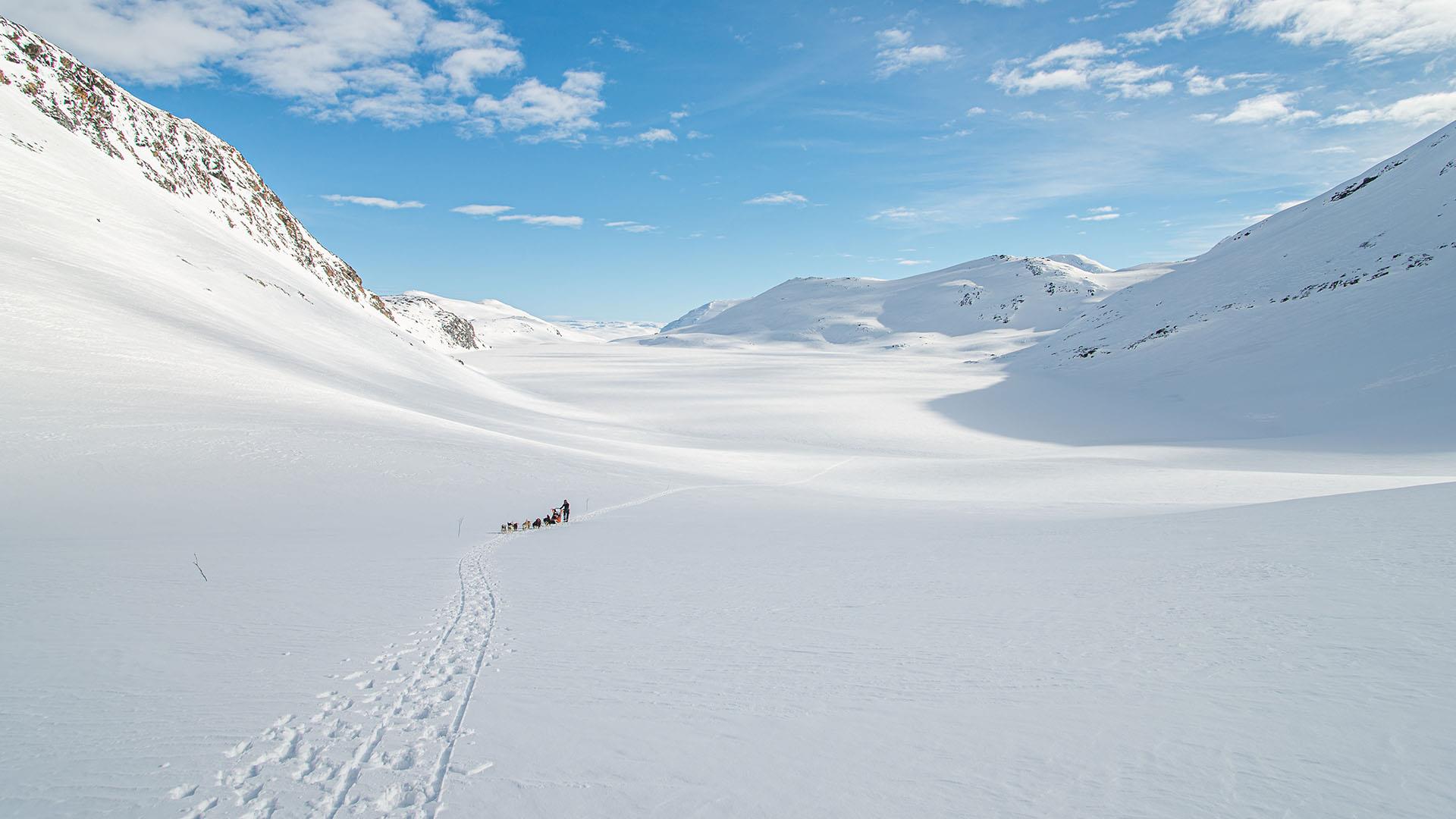 Zwei winziger Hundegespanne in einer weiten, mächtigen Winterfjellandschaft.