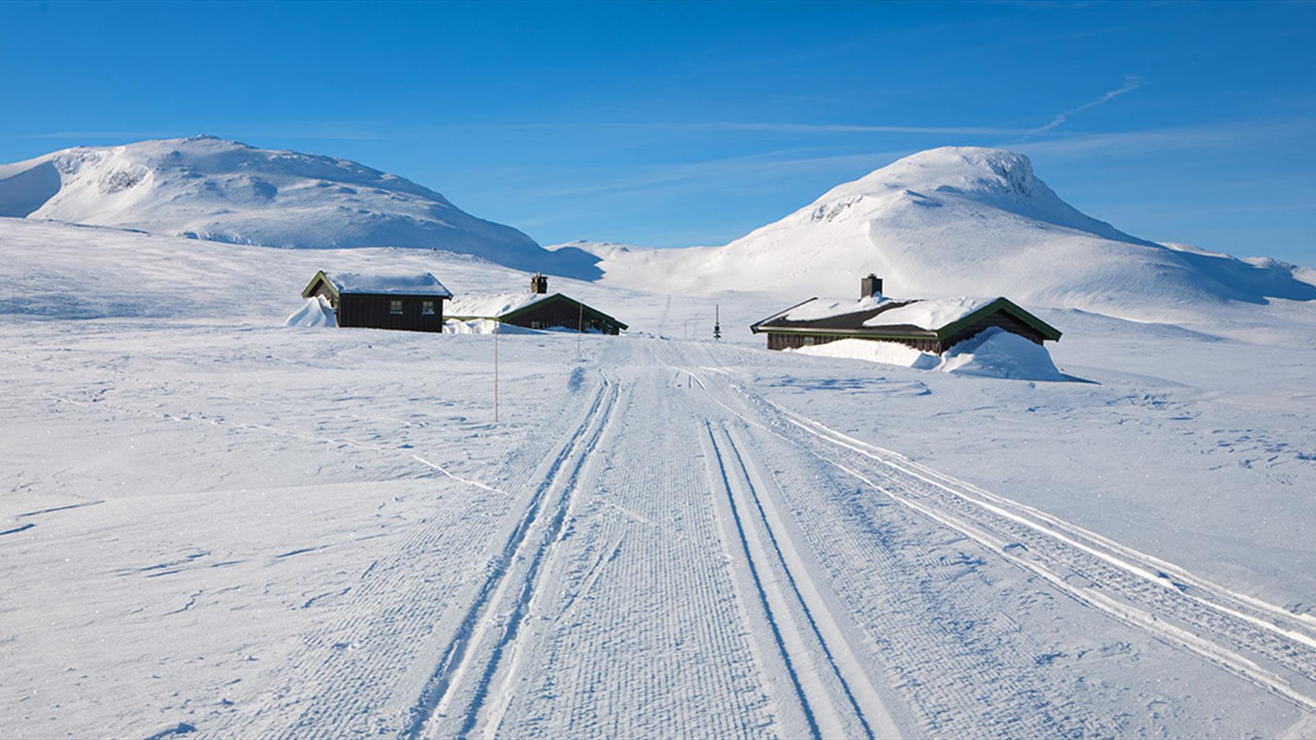 Die DNT-Hütte Sulebu auf dem Filefjell ist ein schönes Tagestourenziel.
