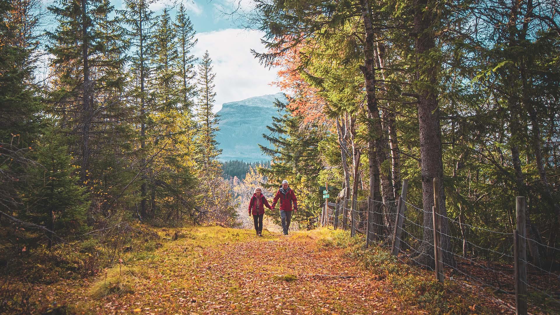 Par vandrer i høstfarget skog