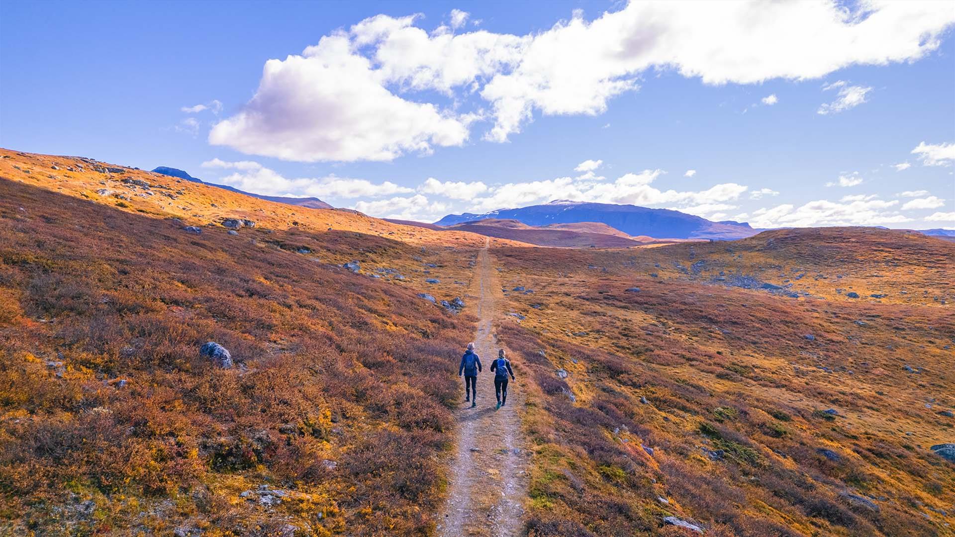 Høstfarget høyfjell over Filefjell