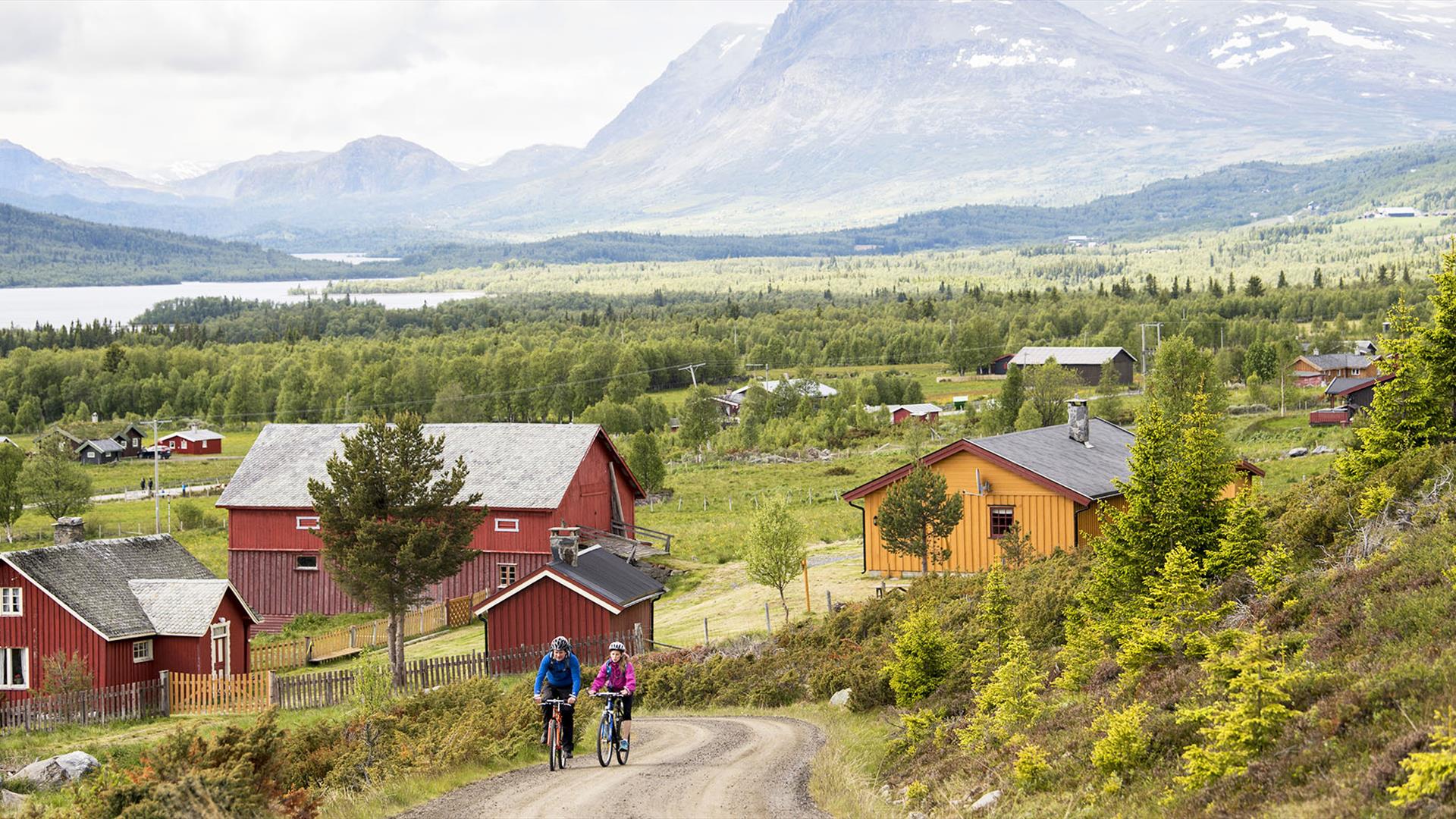 Mjølkevegen går gjennom idyllisk stølslandskap.