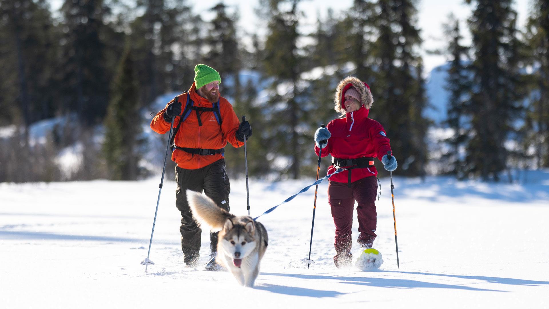 Mann og dame går på truger med hund