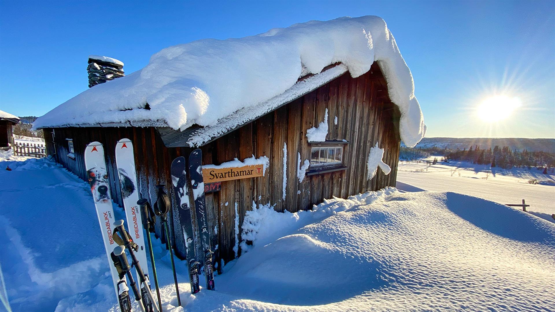 A small mountain cabin in the snow with a pair of touring skis standing in the snow next to it against the low sun on a cloudless winter's day.