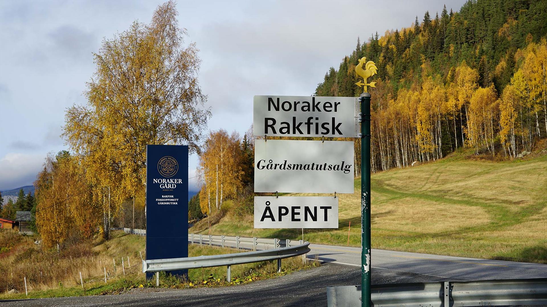 Innkjøring med skilt til gårdsmatbutikk med høstfargede bjørketrær